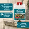 HOTREGA - Rimuovi licheni 2 L Anteprima dell’immagine prodotto 2