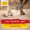 Scheidler horse-direkt Teufelskralle-Liquid, für Pferde Produktbild-Vorschau 2