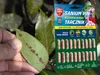 Insektizid-Dünger 2in1 - 20 Stück - für Zimmerpflanzen - Produktbild-Vorschau 7