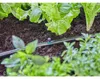 GARDENA Sprühdüse Sprühdüse 90° Inhalt: 5 Stück Produktbild-Vorschau 2