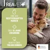 REAVET Ohrmilbenöl Plus 100ml sofort wirksames Mittel für Produktbild-Vorschau 6