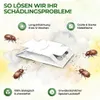 Green Guardia Brotkäfer Falle mit Spezial-Lockstoff - 15x Produktbild-Vorschau 7
