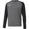 Puma Teampacer Tw-Trikot Langarm Kinder - Grau / Schwarz Produktbild-Vorschau 1