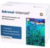 Adrenal Intercell Active Complex kapsułki na nadnercza, 120 Podgląd zdjęcia produktu 4