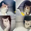 Katzenhöhle, Katzenbett flauschig, Katzen Donut Tunnel, Produktbild-Vorschau 7