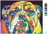 Zuty - Malen nach Zahlen - BUNTE BULLDOGGE, 40x50 cm, mit Produktbild-Vorschau 3