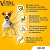 PEDIGREE® Portionsbeutel Multipack Giant Pack Adult Produktbild-Vorschau 2