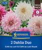 Kiepenkerl Dahlien Duo Café au Lait und Café au Lait Royal Produktbild-Vorschau 1