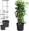 Prosperplast Tomatoes 29.5x29.5x 23.6-115.2 Cm Blumentopf Produktbild-Vorschau 14