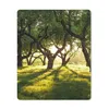 MuchoWow® Mauspad Mousepad Bäume - Natur - Sonne 19x23 cm - Produktbild-Vorschau 1