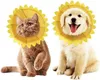 Halskrausen für Hunde Katze,Bequem Weich Recovery Schutz Produktbild-Vorschau 6