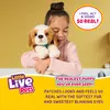 Moose Toys LITTLE LIVE PETS My Really Real Puppy - Patches Produktbild-Vorschau 13