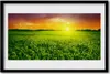 Bild 60x40 MDF-Rahmen Wandkunst Weizenfeld Sonnenaufgang Produktbild-Vorschau 1