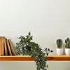 Relaxdays - Plantes artificielles suspendues, lot de 2 Voir les images du produit 5