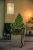A decorated Christmas tree in a planter, set in a living room with furniture and lighting. Náhled obrázku produktu