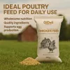 GiDeli krmivo pro slepice 20 kg v kbelíku – kompletní Náhled obrázku produktu 3