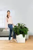 A woman stands next to a large potted plant in a living room. Produktbild-Vorschau
