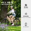Maxtron Urban 8 E-Bike 28 Zoll, 250W Ananda M60 Produktbild-Vorschau 7