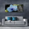 Acrylglasbilder 125x50 Wandbild Druck Blume Steine Pflanzen Produktbild-Vorschau 3
