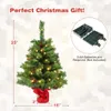 COSTWAY 64 cm albero di Natale artificiale con luci, Anteprima dell’immagine prodotto 2