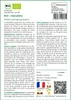 SAFLAX  -- Ciboulette - 250 graines - Allium Voir les images du produit 3