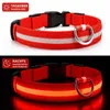 LED Hundehalsband USB aufladbar reflektierend Produktbild-Vorschau 1