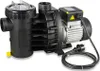 A black and silver water pump with a power cord and plug, set against a white background. Produktbild-Vorschau