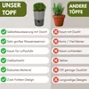 4er Set Kräutertopf Selbstbewässernd Kräutertopf Küche Produktbild-Vorschau 3