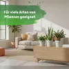 LENI Hydrokultur Komplett-Set mit Blumentopf Kulturtopf Produktbild-Vorschau 9
