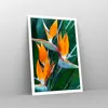 Poster - Poster ohne Rahmen - Himmlisch Vogel Blume - Produktbild-Vorschau 7