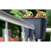Blumentopf für Balustrade Ratolla DRLB400 | Anthrazit Produktbild-Vorschau 5