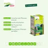 Cuxin DCM Spezialdünger für Bambus & Ziergräser 1,5 kg Produktbild-Vorschau 8