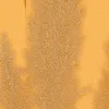 A.S. Creation | Florale Tapete | Vliestapete | Kollektion Produktbild-Vorschau 10