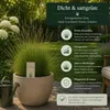Ausl. Rotschwingel festuca rubra 1kg für ca. 500 m² - dicht Produktbild-Vorschau 5