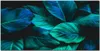 Coloray Küchenrückwand 120x60 Spritzschutz aus Glas - Blume Produktbild-Vorschau 1