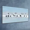 Coloray - Bild aus Glas - 120x60 cm - gehärtetes Glas Produktbild-Vorschau 2