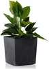 HowHomely Blumentopf Flore 19 cm Höhe, Pflanzkübel, Schwarz Produktbild-Vorschau 1