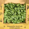 Genussleben Geschenkbox mit Echte Eukalyptus Menthol Produktbild-Vorschau 2