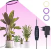 Pflanzenlampe LED Vollspektrum 9 Helligkeitsstufen Produktbild-Vorschau 2