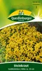 Steinkraut, Goldkörbchen Produktbild-Vorschau 6