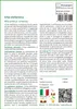 SAFLAX  - Erba elefantina - 200 semi - Miscanthus Anteprima dell’immagine prodotto 3
