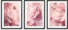 Poster élégant pour le salon Cuisine Rose Fleurs Décoration Voir les images du produit 1