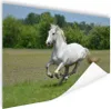 MuchoWow® Poster Pferde - Natur - Weiß 90x60 cm - Produktbild-Vorschau 1