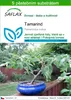 SAFLAX - tamarind - Tamarindus indica - 4 Semena - S Náhled obrázku produktu 1