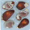 GuyLian The Original Meeresfrüchte 65g Produktbild-Vorschau 2