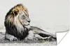 MuchoWow® Poster Illustration - Löwen - Farbe 90x60 cm - Produktbild-Vorschau 1