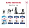 Royal Canin Maxi Adult 5+, Dospělý jedinec, Velký (26 až 44 Náhled obrázku produktu 8