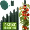 TTL GARDEN Rankstäbe 10er Set 150cm 11mm Pflanzenstütze + Produktbild-Vorschau 1
