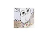 Harry Potter Hedwig - Beige, geräumige Reise-Kosmetiktasche Produktbild-Vorschau 3