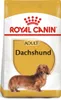 A bag of Royal Canin Dachshund Adult dog food. Produktbild-Vorschau